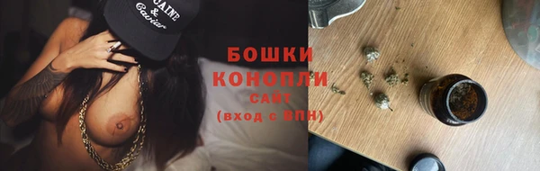 ГАЛЛЮЦИНОГЕННЫЕ ГРИБЫ Волосово